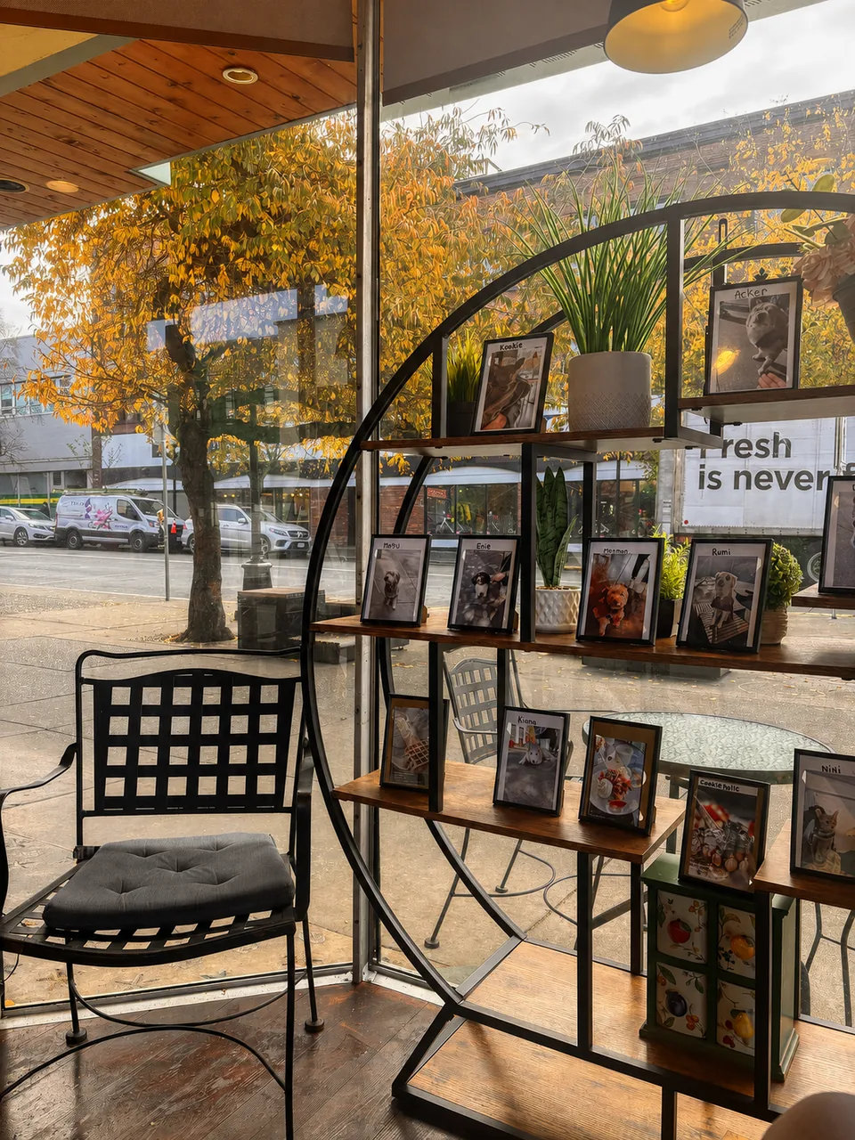 The cafe window with customer pet portraits and a chair